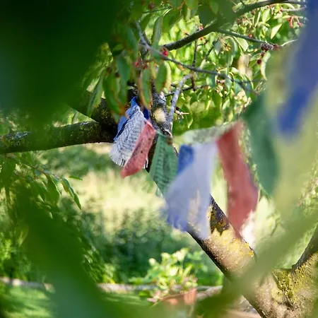 Le Nosare Bosco Chiesanuova