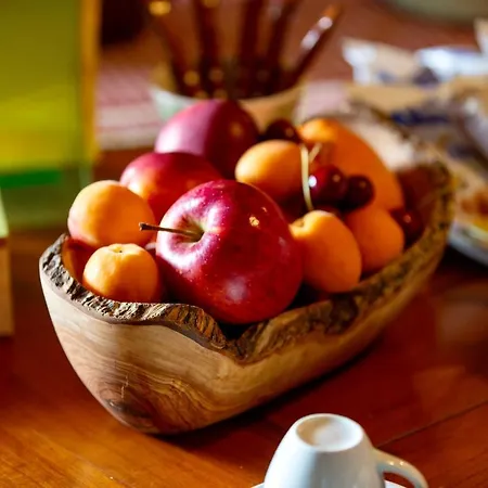 Le Nosare بوسكو تيسانيوفا